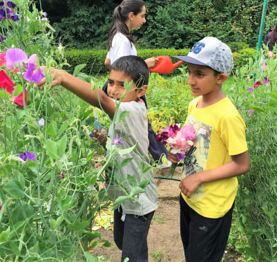 Farming fun in the school holidays