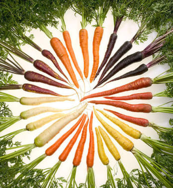 International Carrot Day