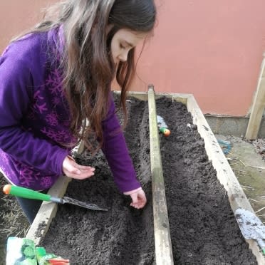 SCHOOL STORIES: Our school garden