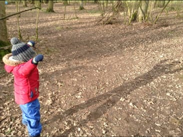 RESEARCH: Benefits of Forest School