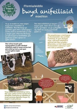 BBSRC Science on the Farm poster - ANIMAL FEED (Welsh version)