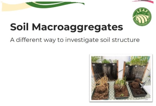 The Secrets of Soil Science