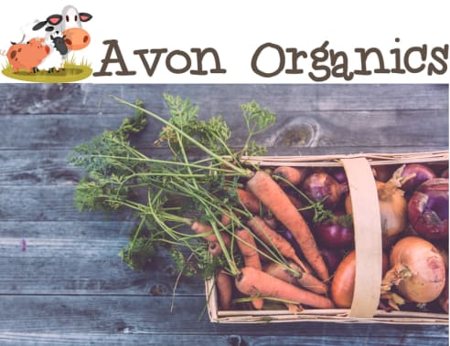 Avon Organics - Marketing Project