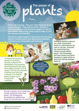 BBSRC Science on the Farm poster - PLANTS