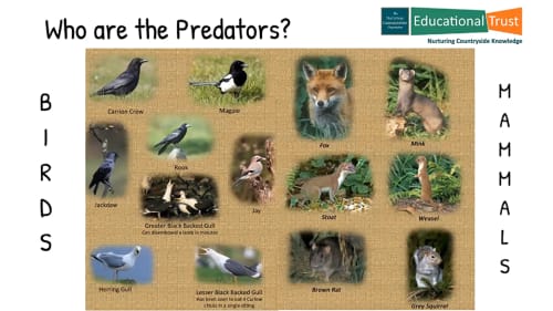 Conservation Fact File 5 - Predator & Pest Control