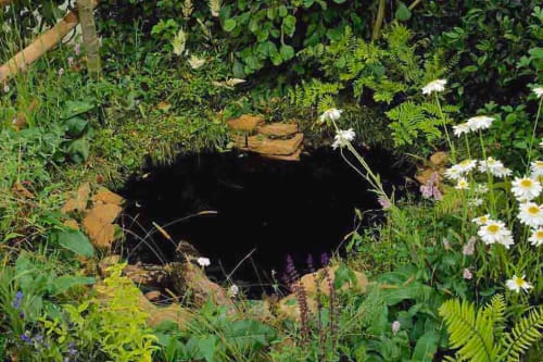 School Pond Health & Safety