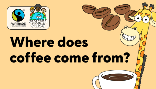 Where does Coffee come from?