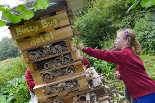 Make a Bug Hotel