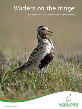 Countryside Conservation: Waders on the Fringe