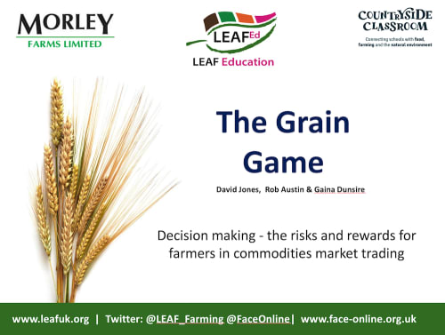 Business Studies Grain Trading Game