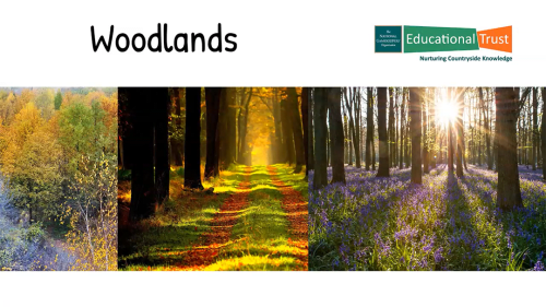 Conservation Fact Files 4 - Habitats - Woodlands