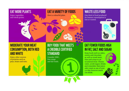 Sustainable Diets for UK adolescents