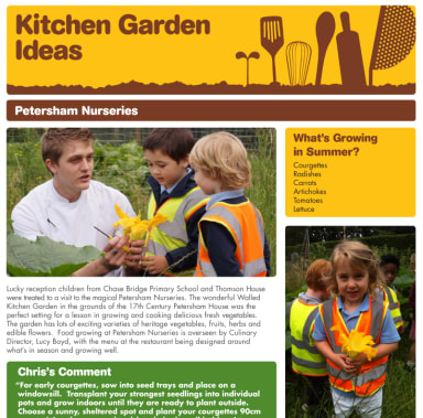 Kitchen Garden Ideas case studies