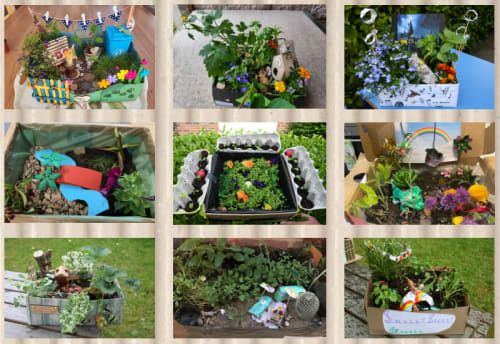 Shoebox Garden Competition