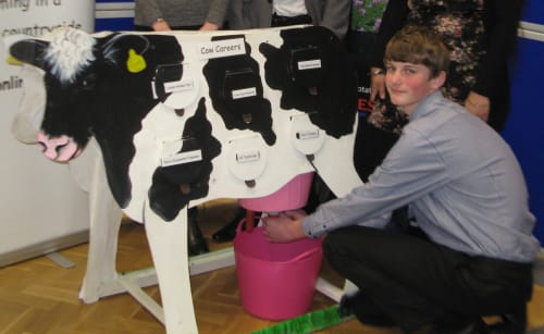 Model Milking Cow (and goat)