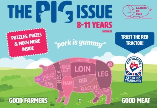 The 2021 Pig Issue children's activity book