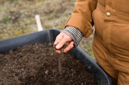 How Healthy is your Soil?