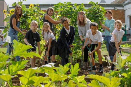 RHS School Gardening Awards