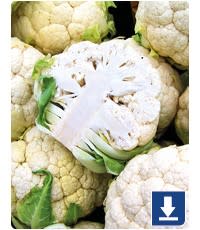 Cauliflower investigations - Tractor Ted Farm School