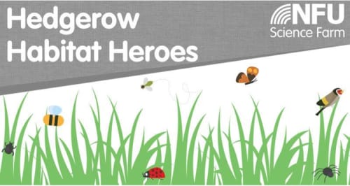 Hedgerow Habitat Heroes