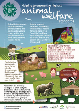 BBSRC Science on the Farm poster - ANIMAL WELFARE