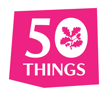 50 things to do before you're 11 3/4