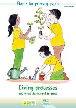 Plants for Primary Pupils: Living processes and what plants need to grow