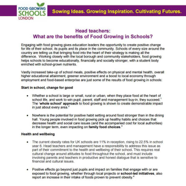 The benefits of food growing in schools