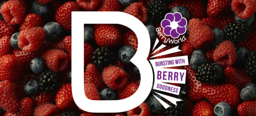 Beautiful Berry Recipes