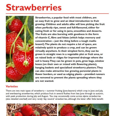 Fruit Growing Manual