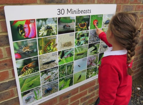 30 Minibeasts- Photographic - 3109