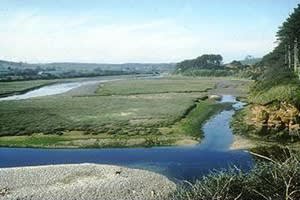 Devon Wildlife Trust