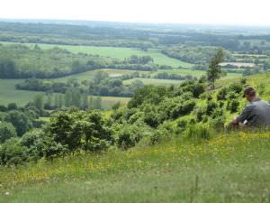 Wye Downs National Nature Reserve