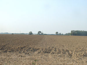 Hall Farm (Sheffield)