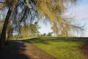 Lickey Hills Country Park