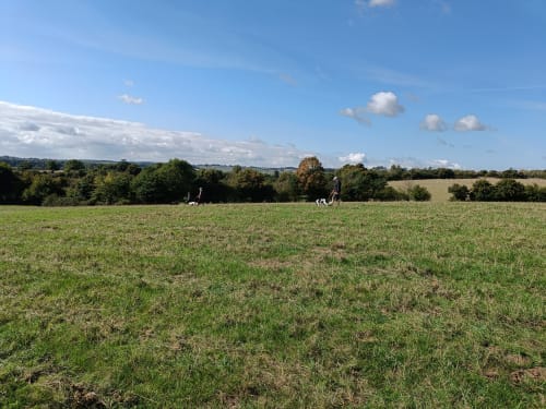 Upper Row Farm - the farm that cares
