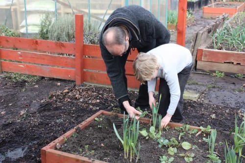 Moss Side Community Allotment