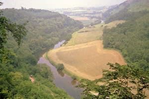 Forest of Dean: