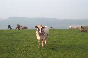 Underwood Higher Farm