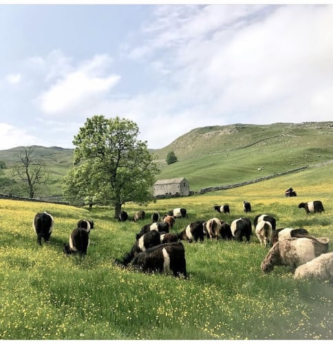 Hill Top Farm