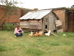 Caenbrook Farm