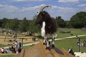 Odds Farm Park