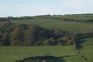 Wight Conservation