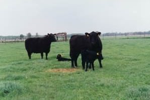 Liley Hall Farm