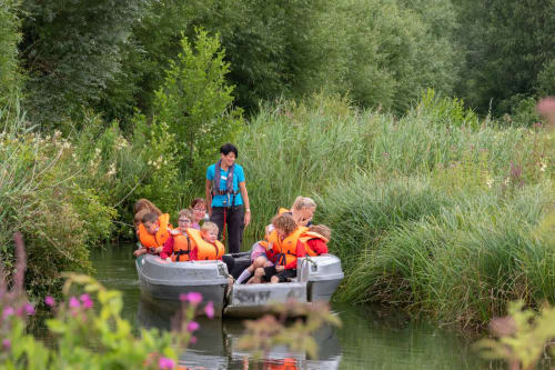 WWT Arundel