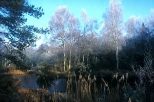 Higher Hyde Heath