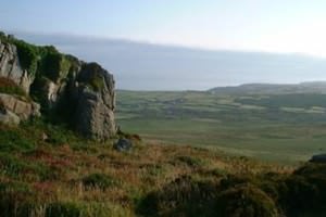 Cornwall Wildlife Trust
