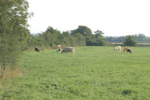 Wood Farm (Castleshaw)