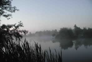 Manor Farm (Biggleswade)