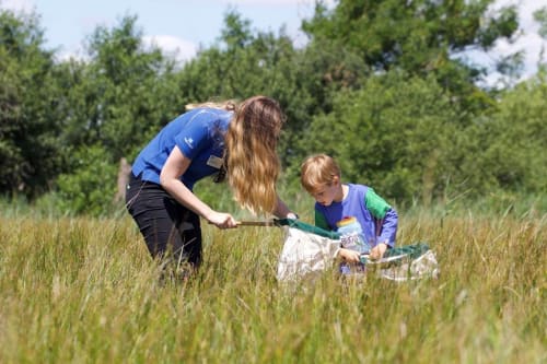 RSPB Arne Nature Reserve in Dorset